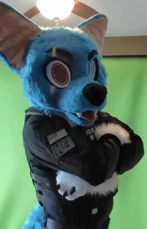 Stop!!! You Violated the Law! For being too CUTE!