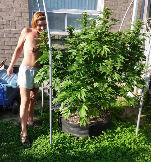 Things are gettin' sticky (F)