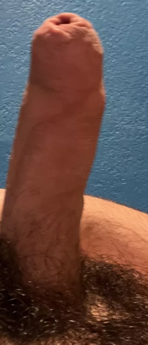 Trade offer: i get to suck your man tits, you get, breed by my cock