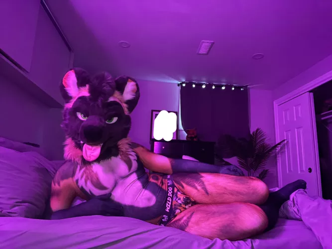 A soft needy mutt waiting for you