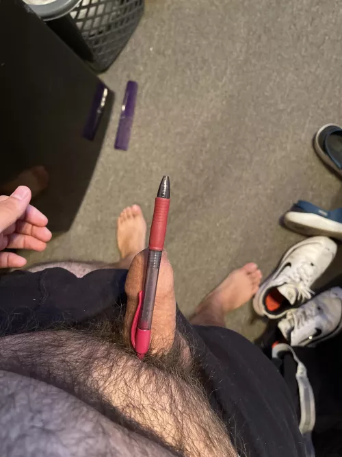 Anyone down to compare? Loser does anything the winner wants. Wedgies, swirlies, show hole, anything