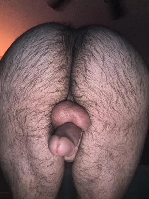 Can you suck it from behind?