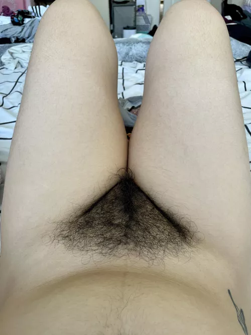 Don’t you wish your head was between my knees?