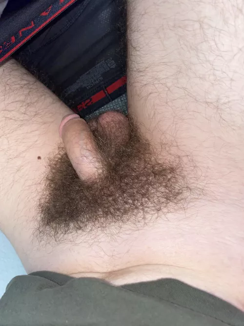Hairy softie, anyone wanna help get it up?