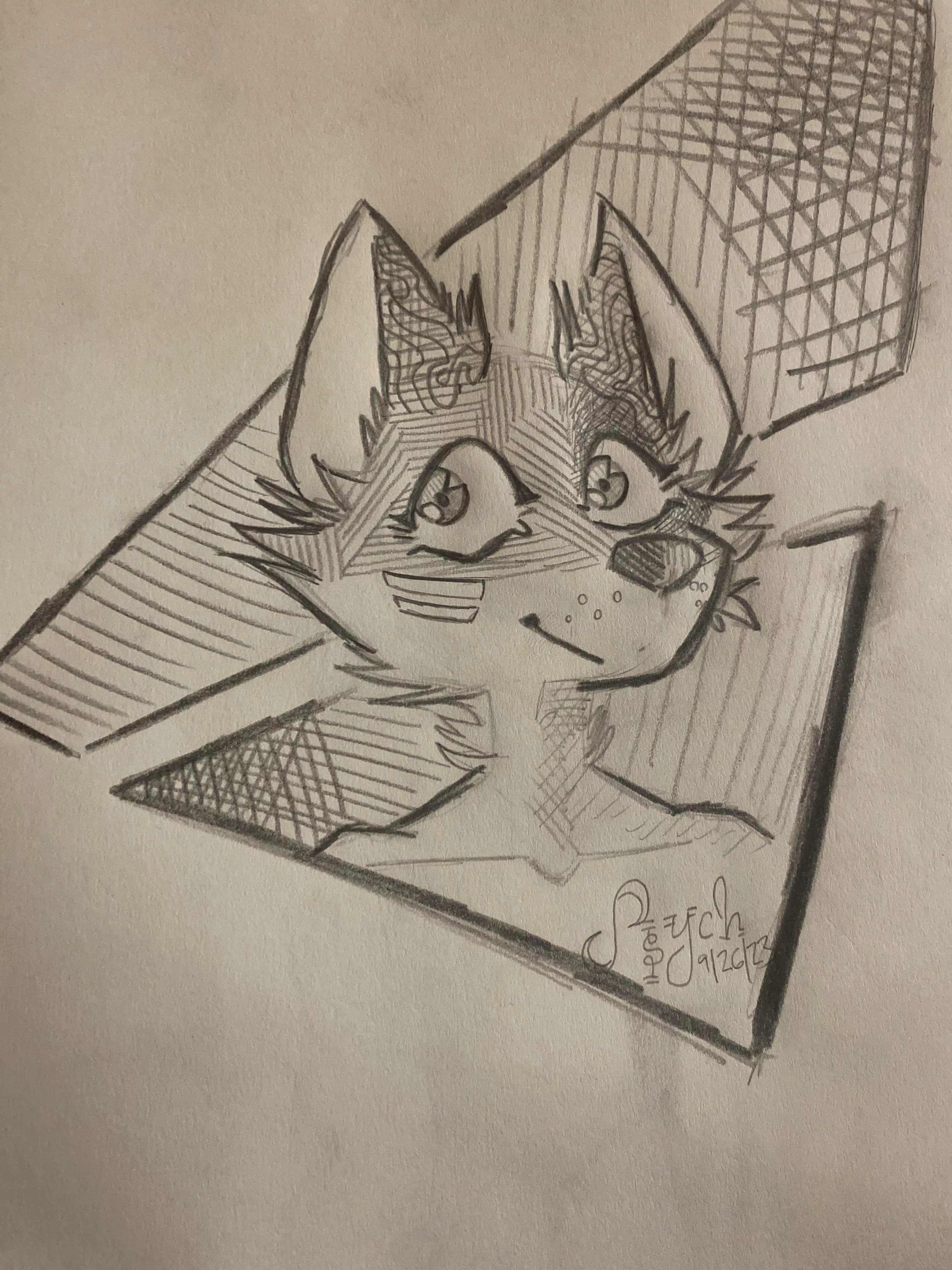 Is this a smile or a smirk?