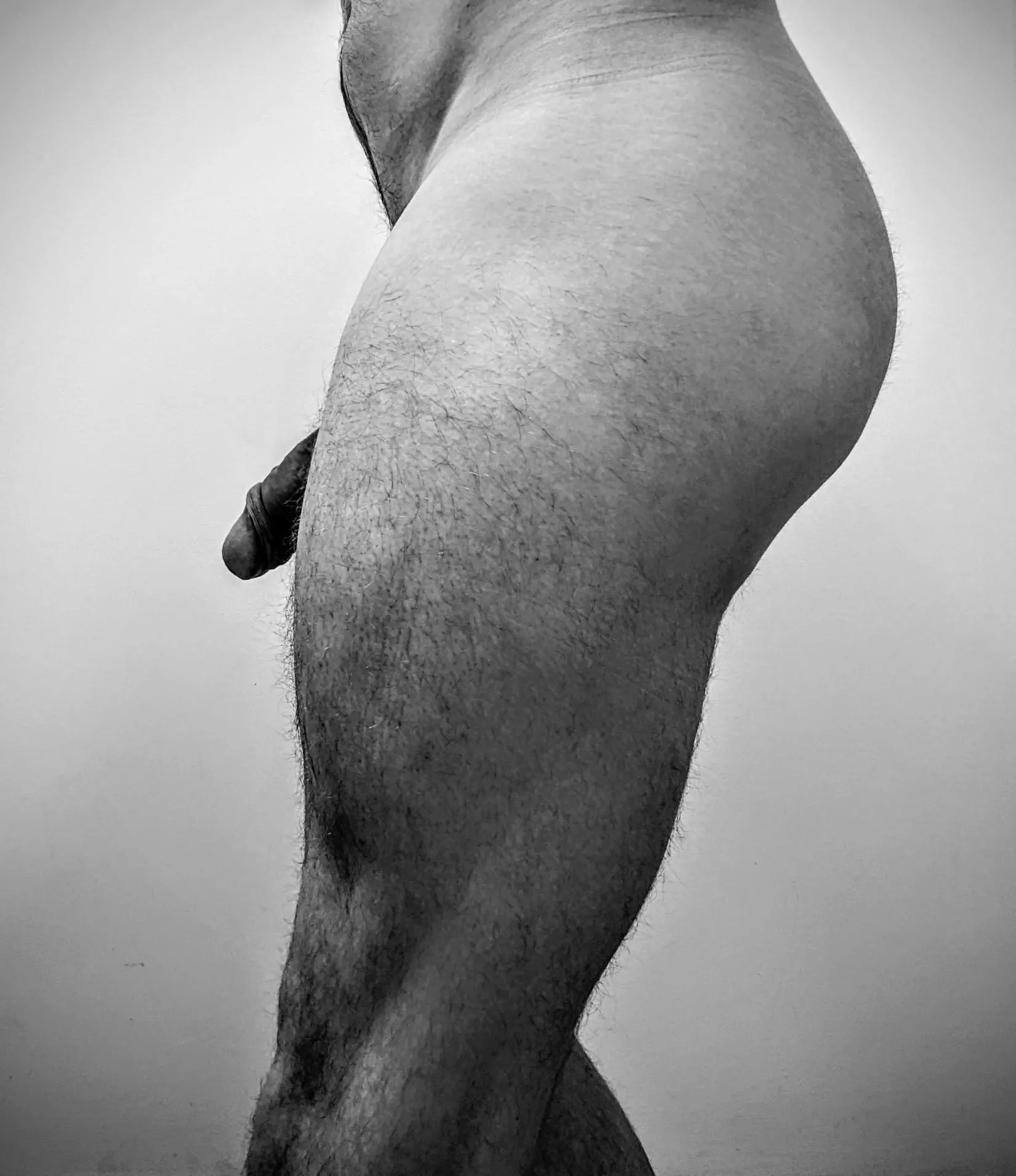 Quad side profile [30]