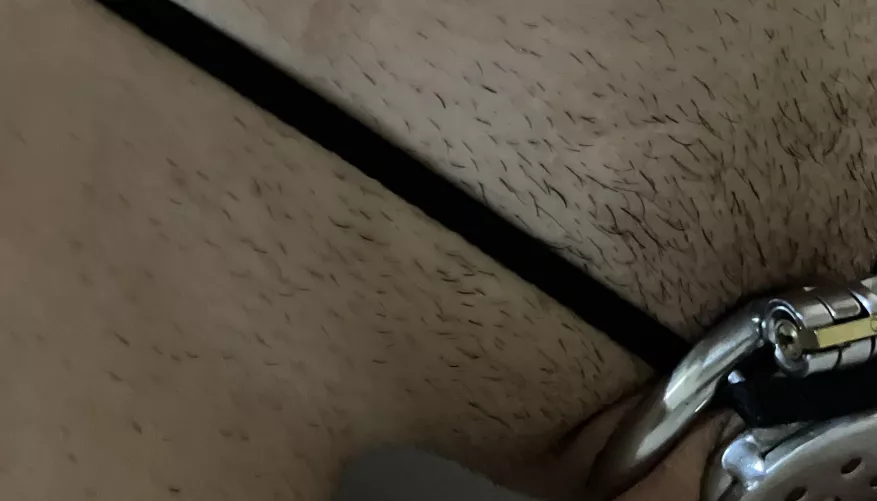 The power of absolute flatness