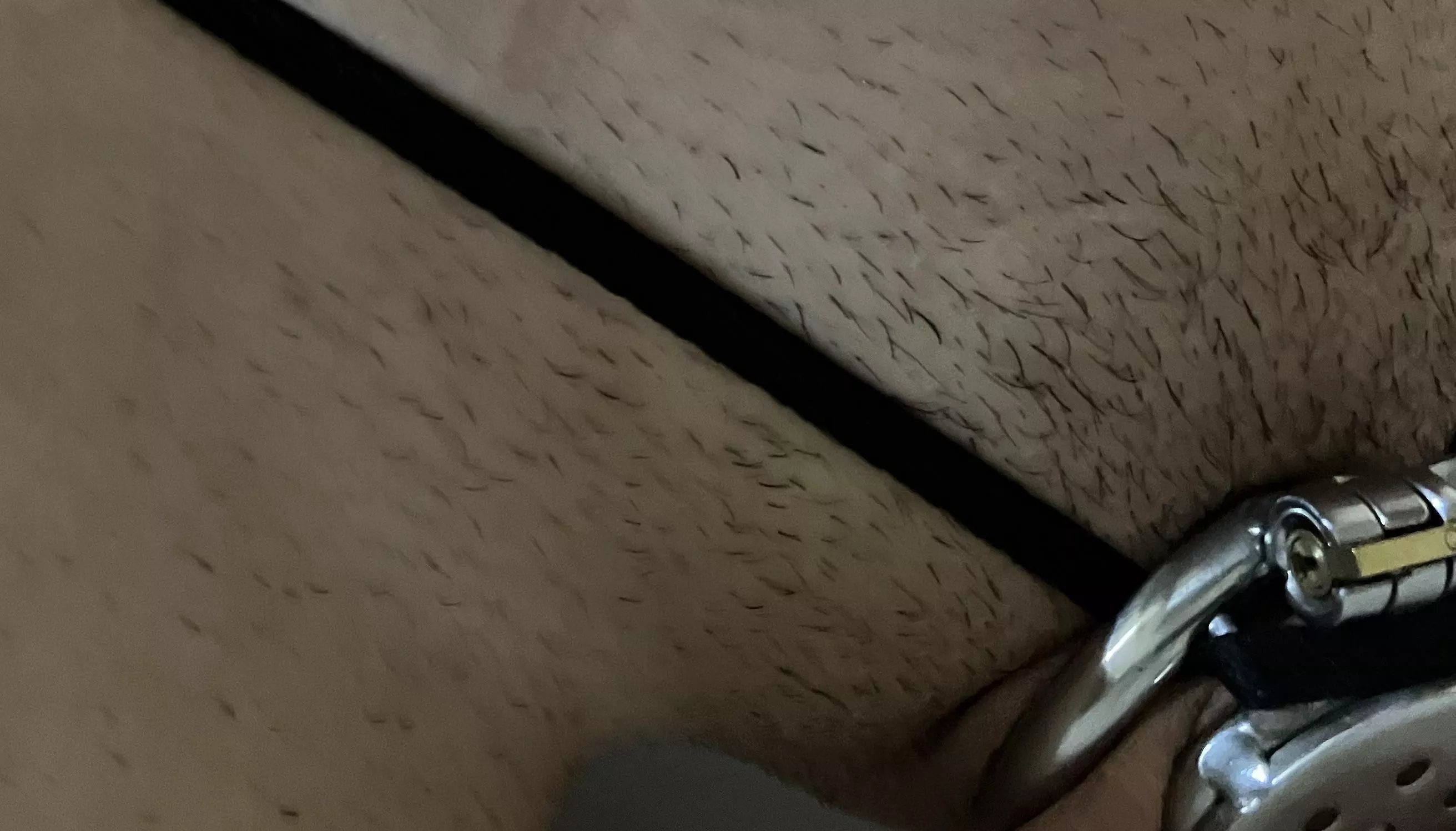 The power of absolute flatness