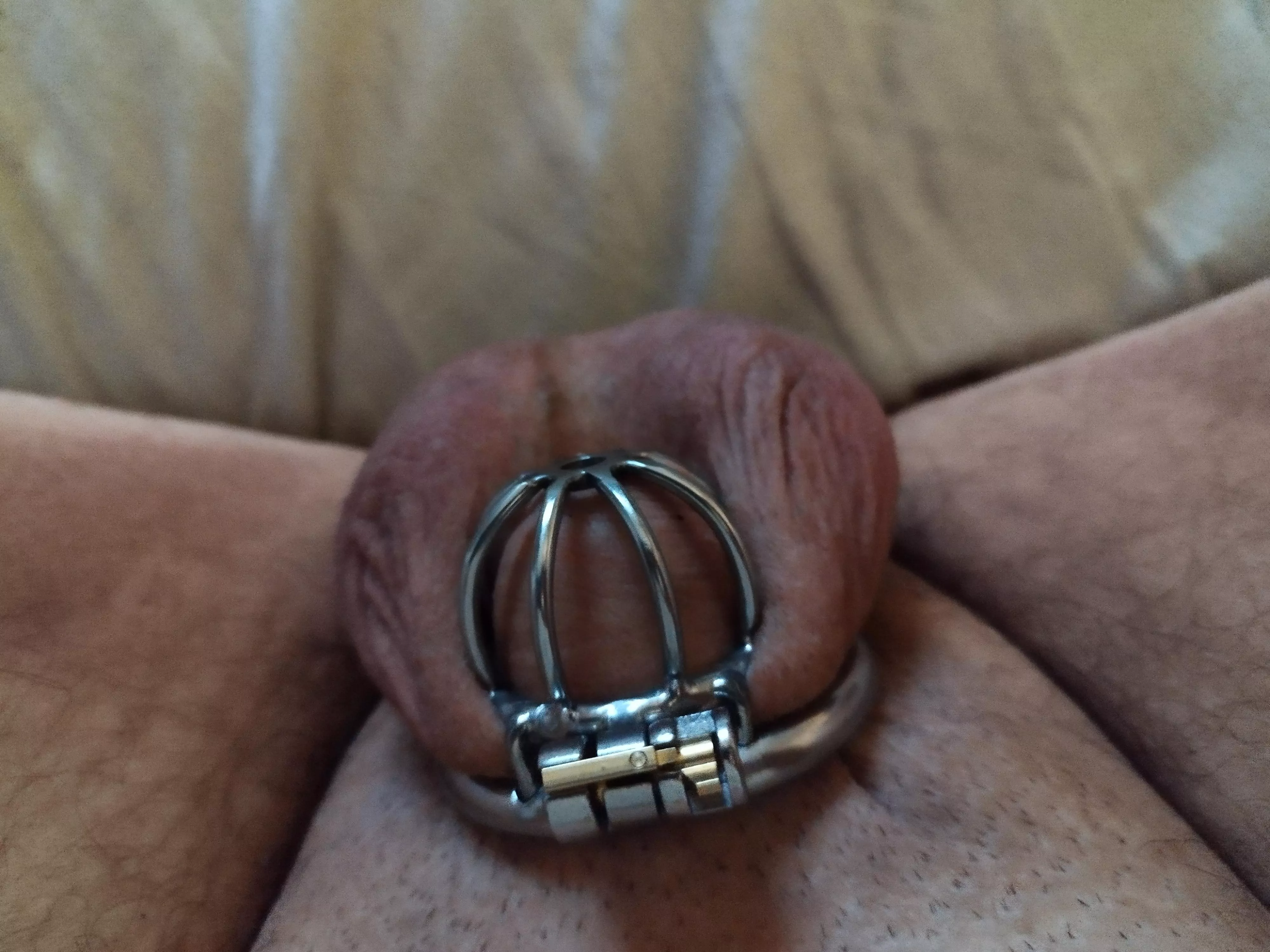 2nd cage, feels more comfy ♥️