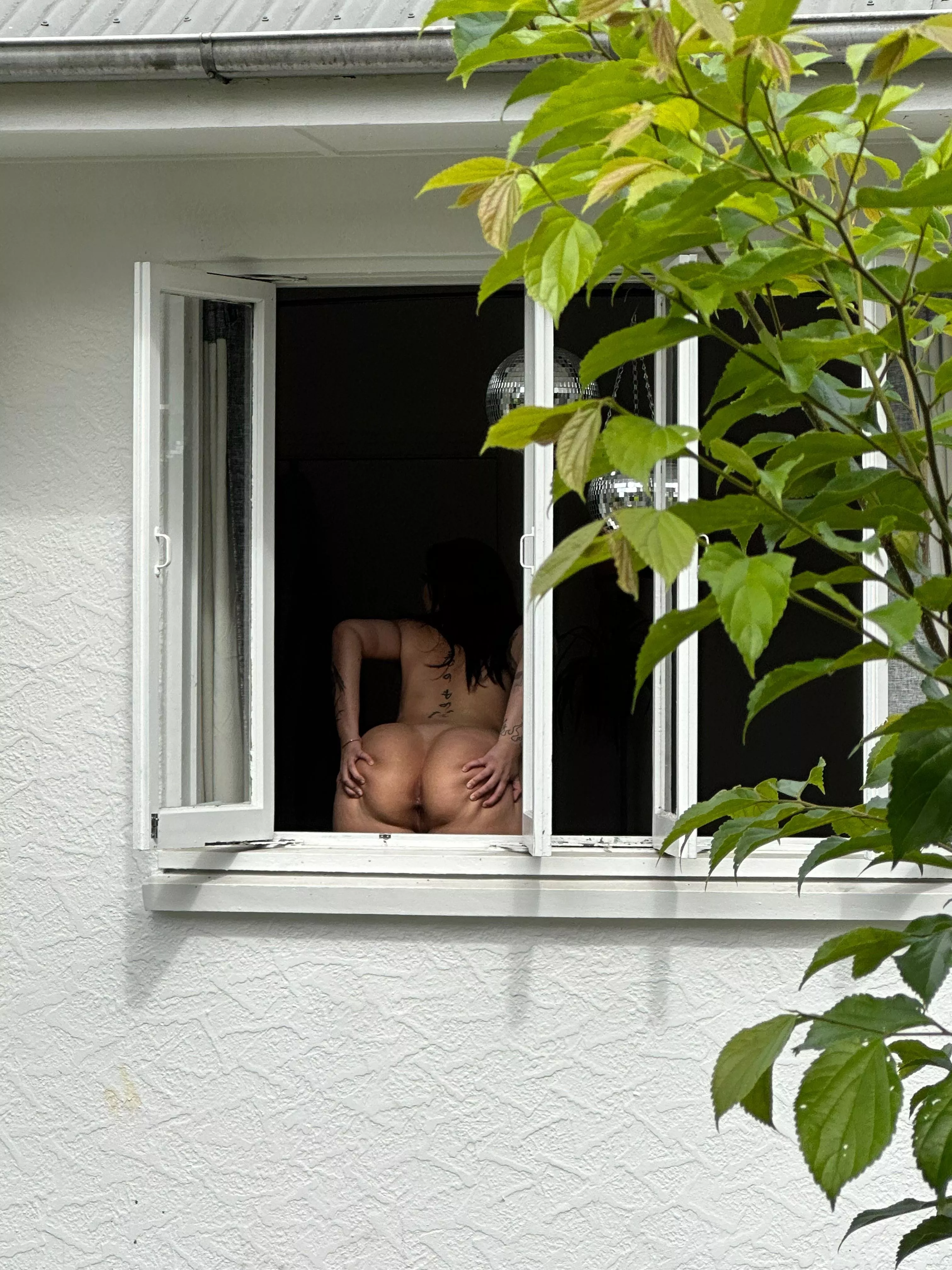 All for you to eat or fuck… or both