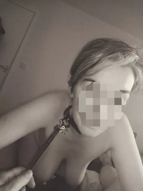 Collar and short lead.