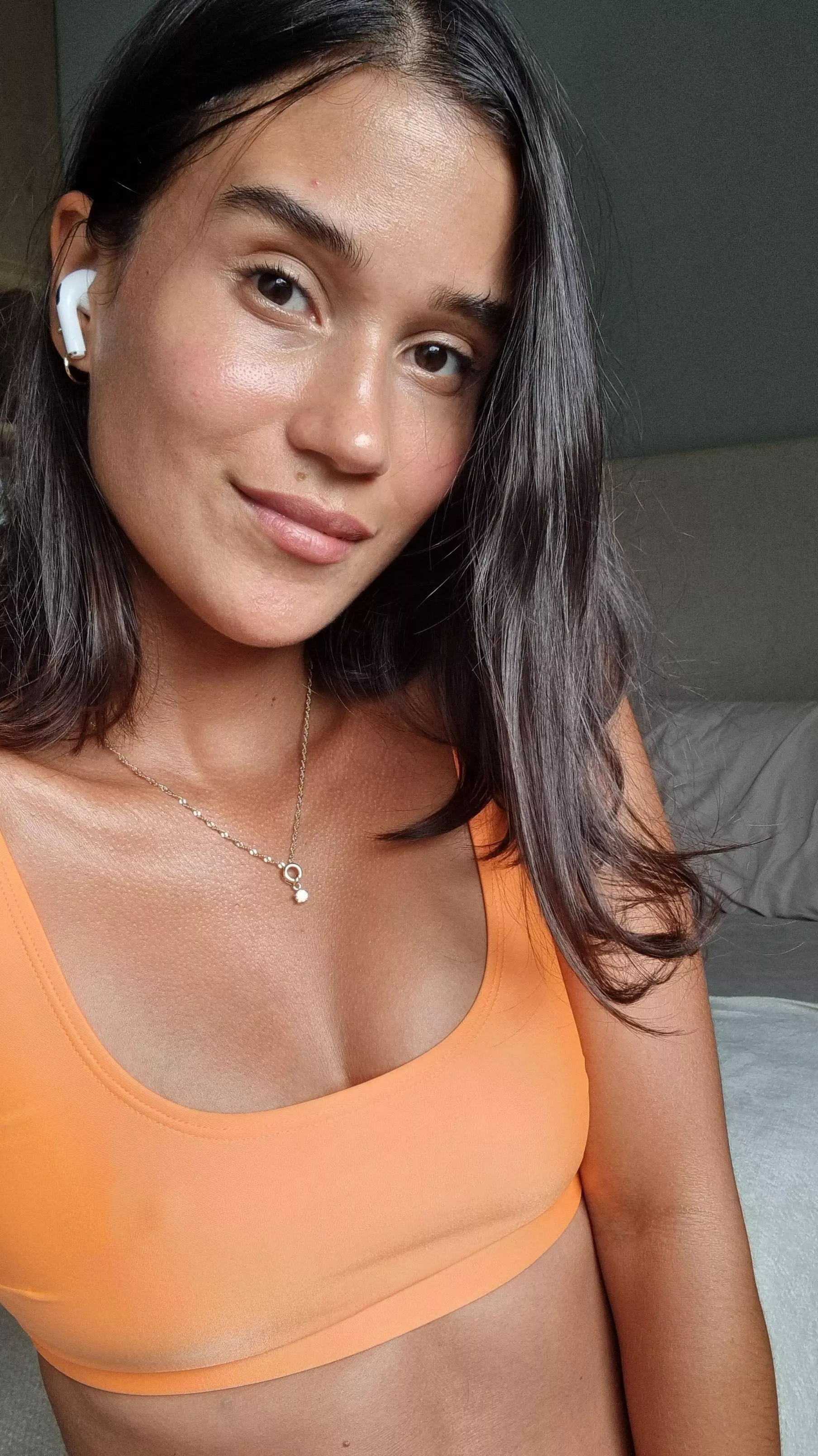 Colombian x Frenchie