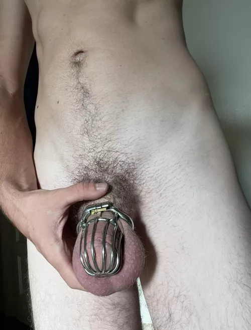 My Mistress decided I needed to start locktober early