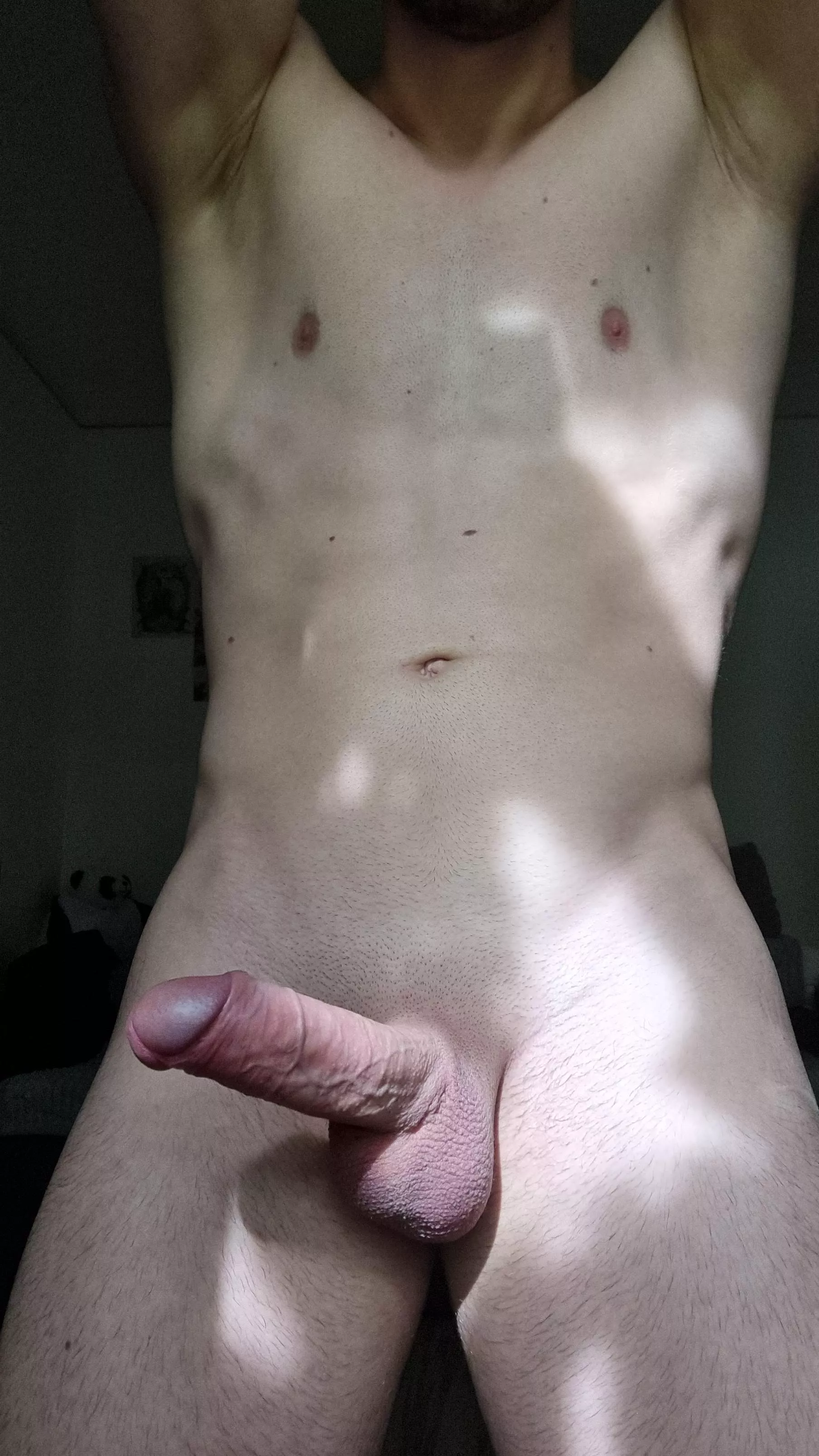 Say yes if you want to gag on my cock