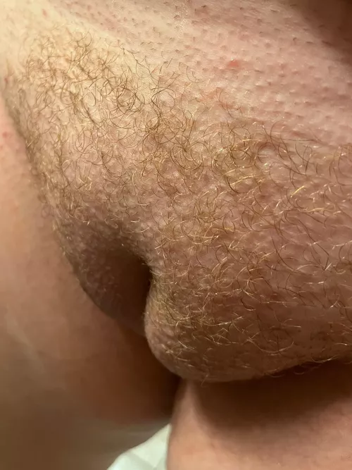 Anyone like redheads