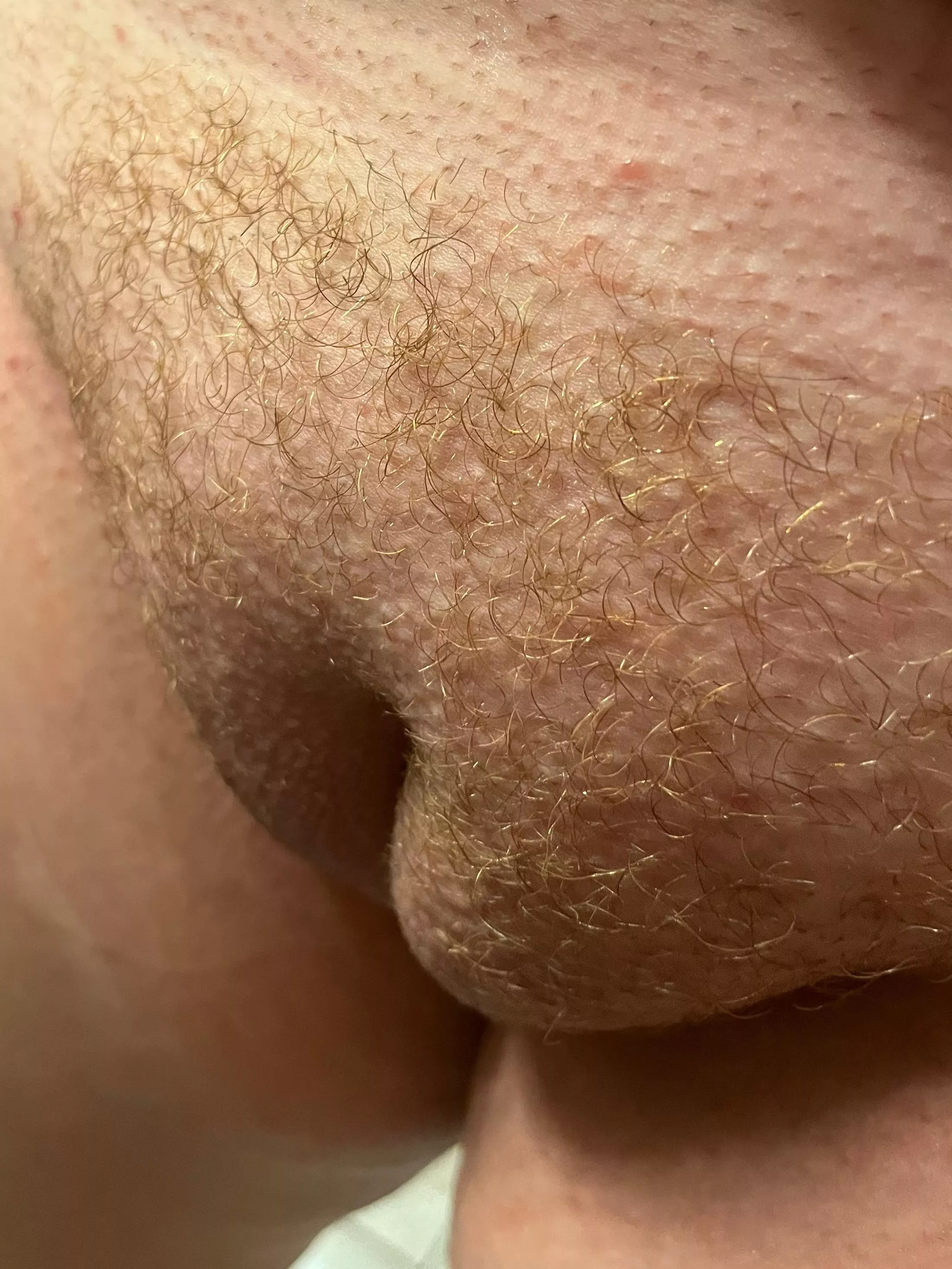 Anyone like redheads