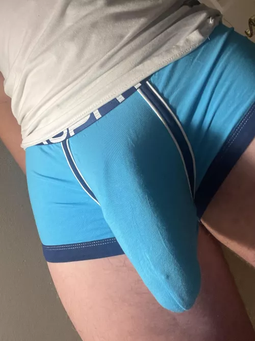 Comment yes if you think my bulge is one of the best on Reddit