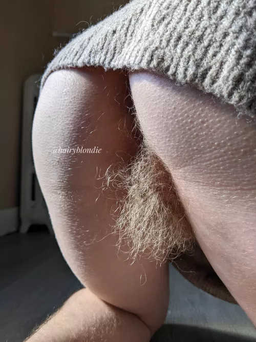 I'm extremely hairy and love to show it off