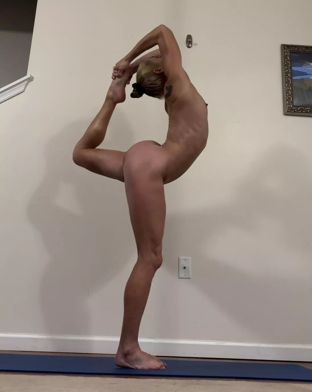 One legged king pigeon