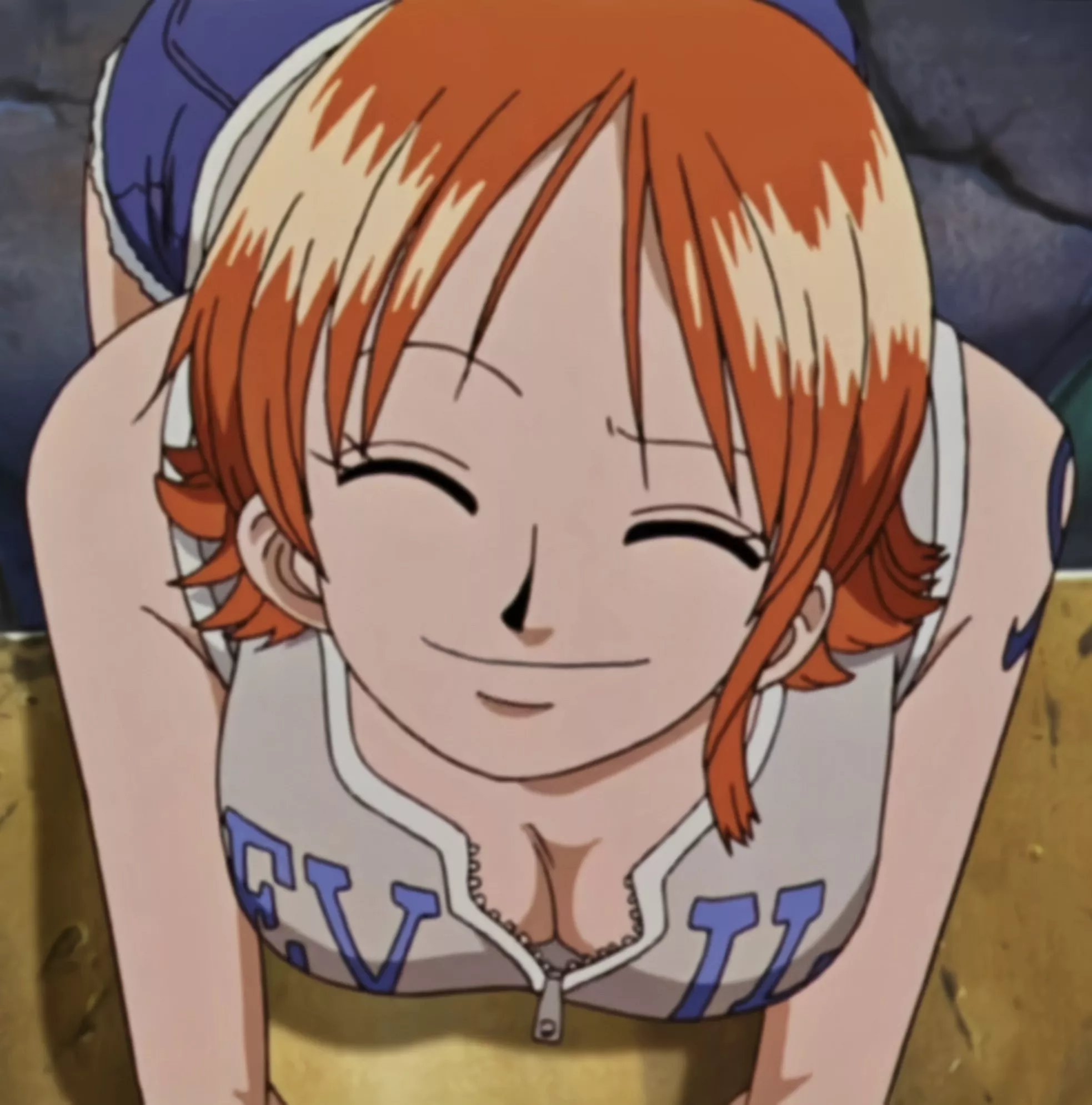 Picture Nr.4 of Nami...Who likes Anime Pics more than Fanart?