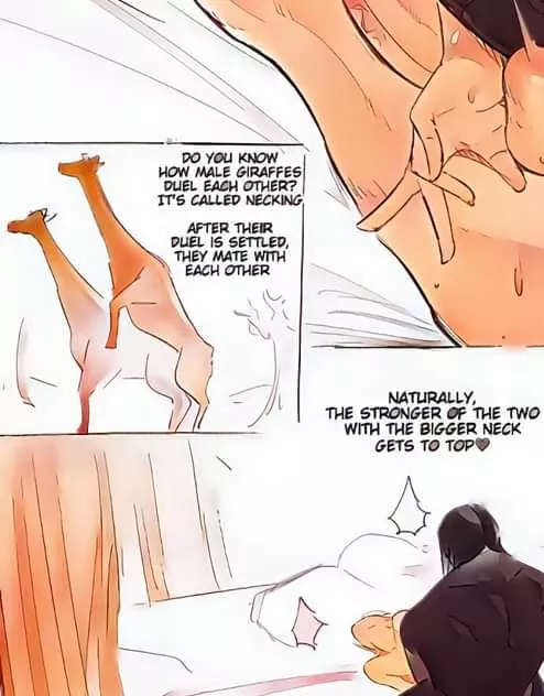 This random ass fun fact