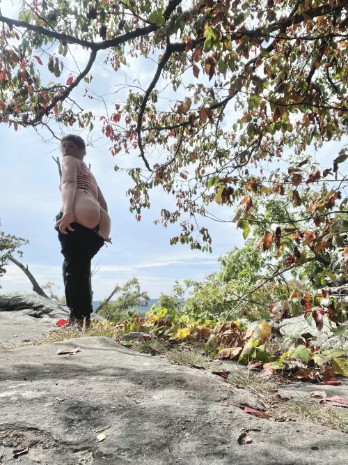 Would you like to view the full moon atop a mountain with me?