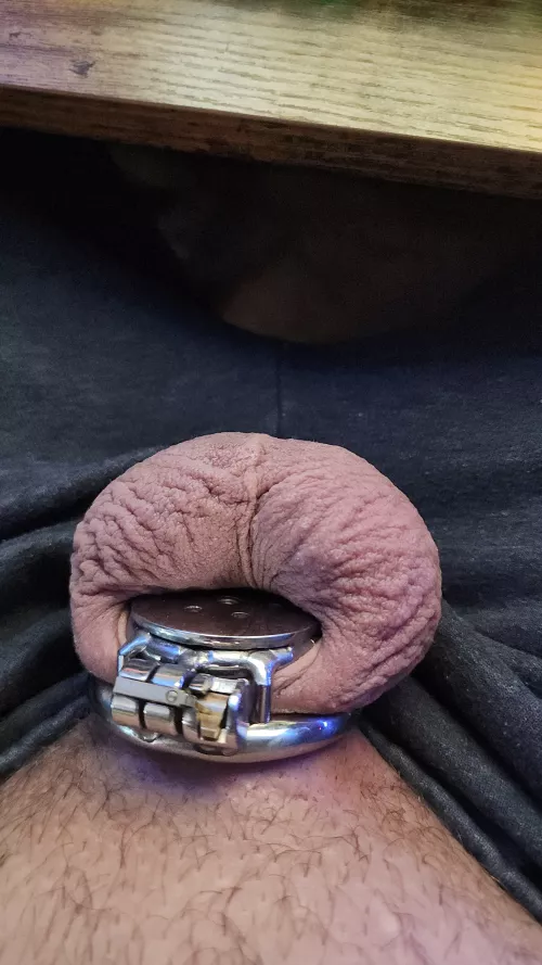 After a solid two weeks wearing a flat cage I am officially used to it full time now.