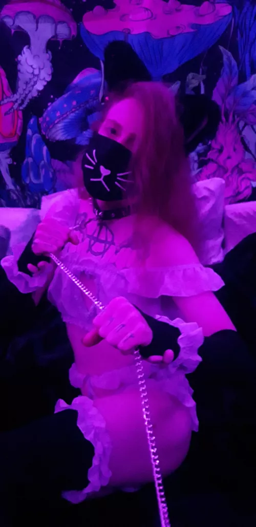 Are we gonna go for a walk?🥺