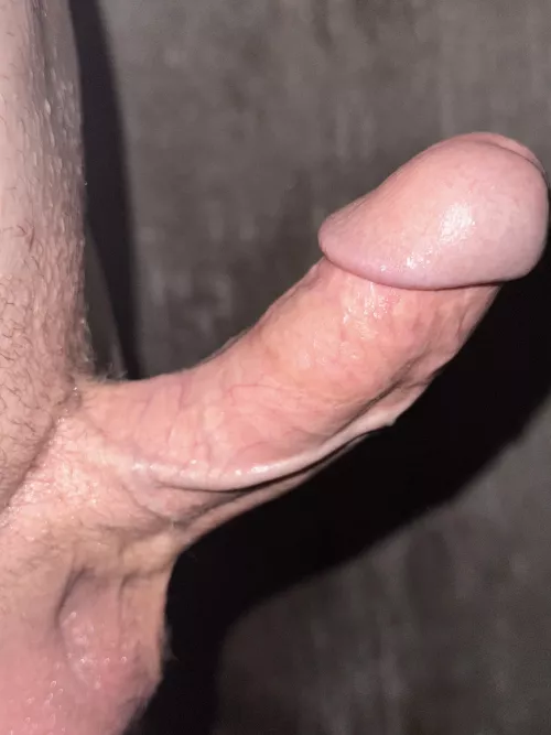 Do you like my penis?