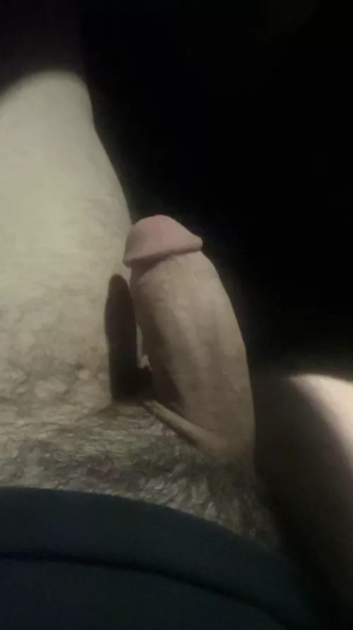 Give me head in the car, would you ?