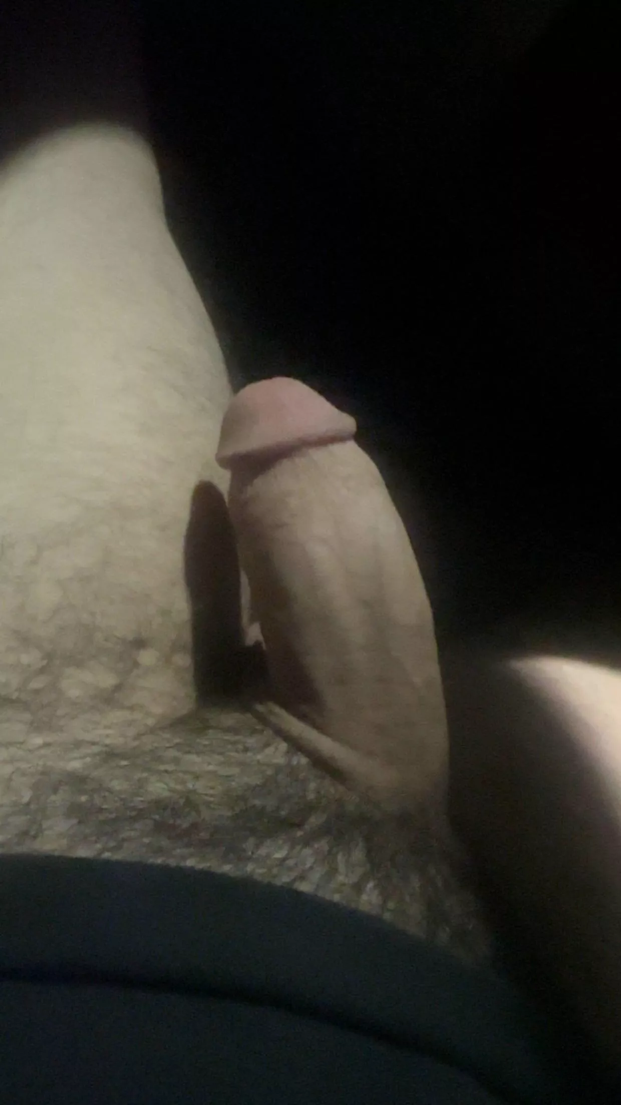 Give me head in the car, would you ?