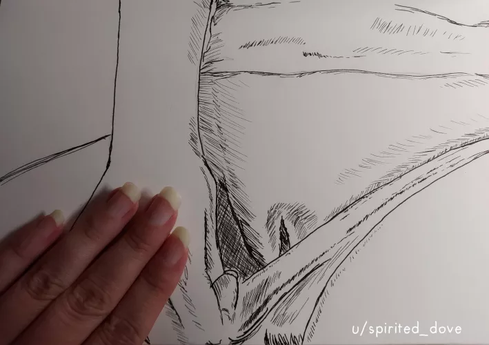 Just a little womanly peek. It's been a while since I drew something, please be kind.