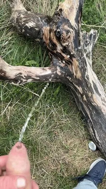 Let’s enjoy the fresh air!