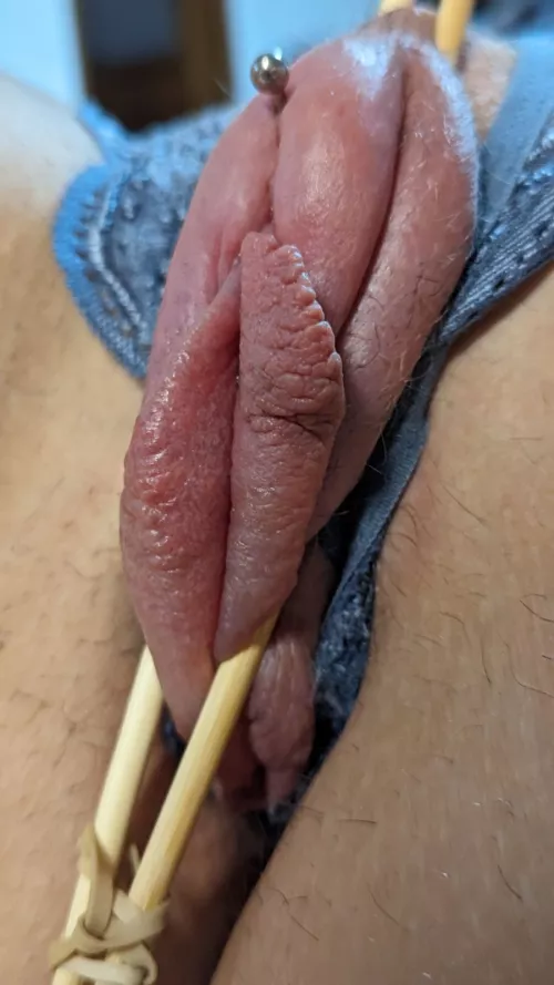 Pumped, clamped with the chopsticks, edged, and kept like this until I decide to use her cunt