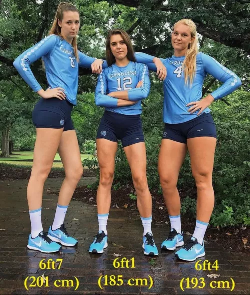 Tall girls on top [3]