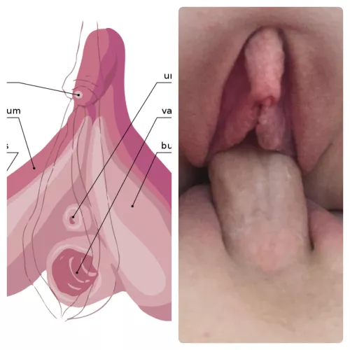Well the research checks out (f34)