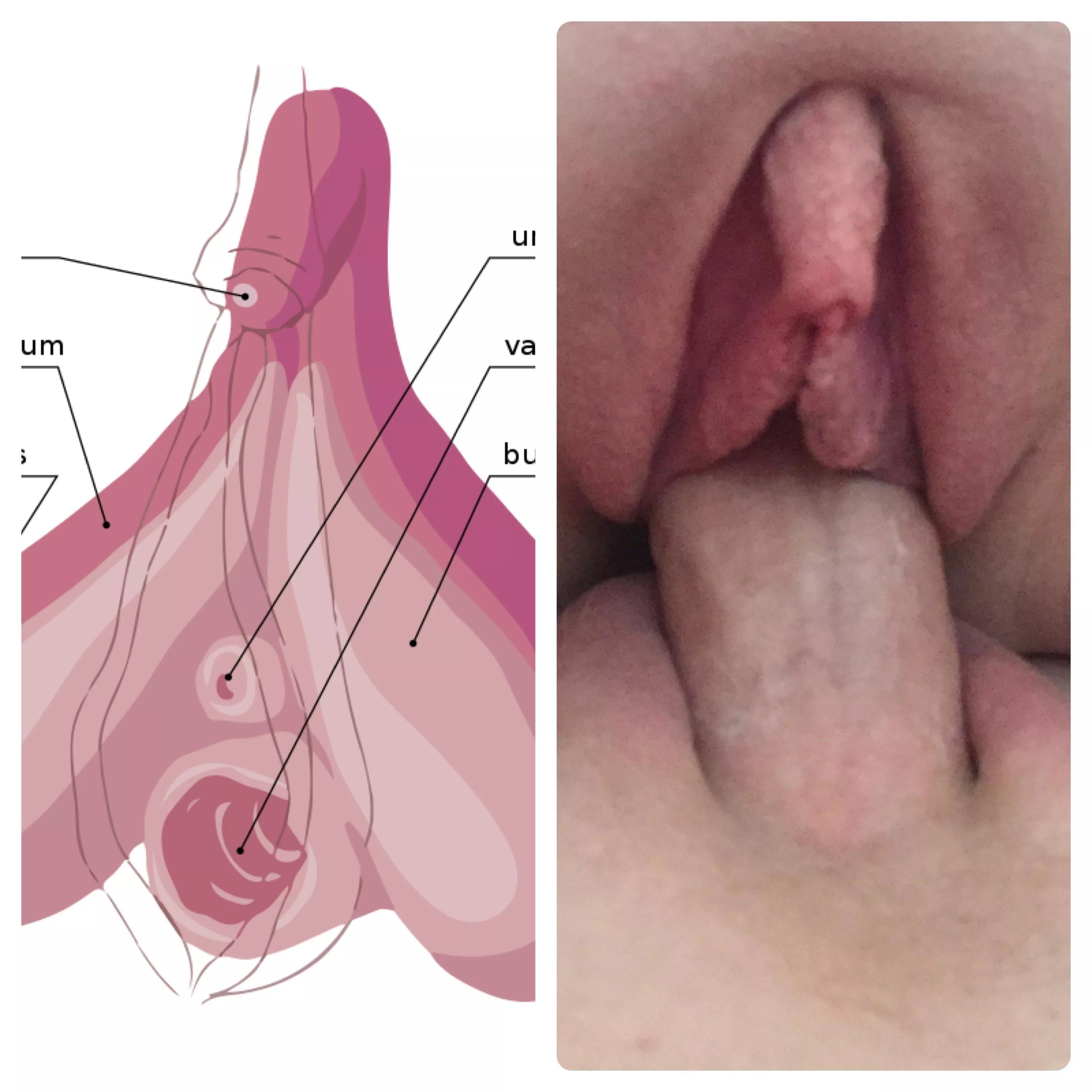 Well the research checks out (f34)