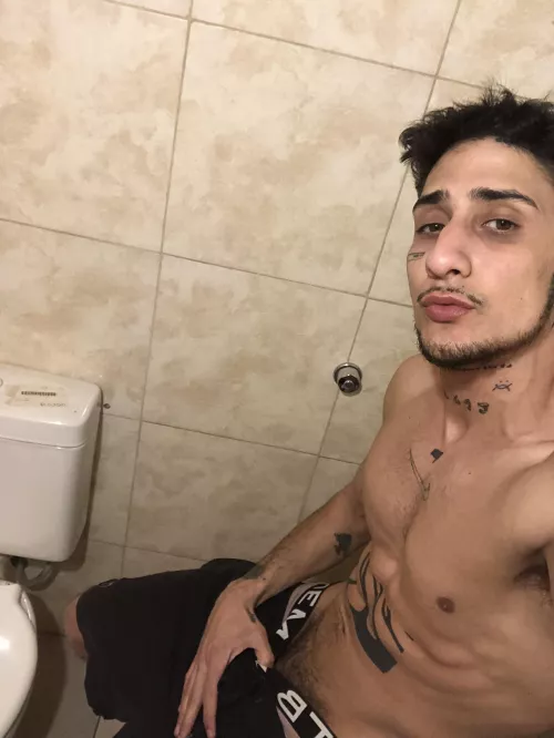 what plans do you have today? we had fun?