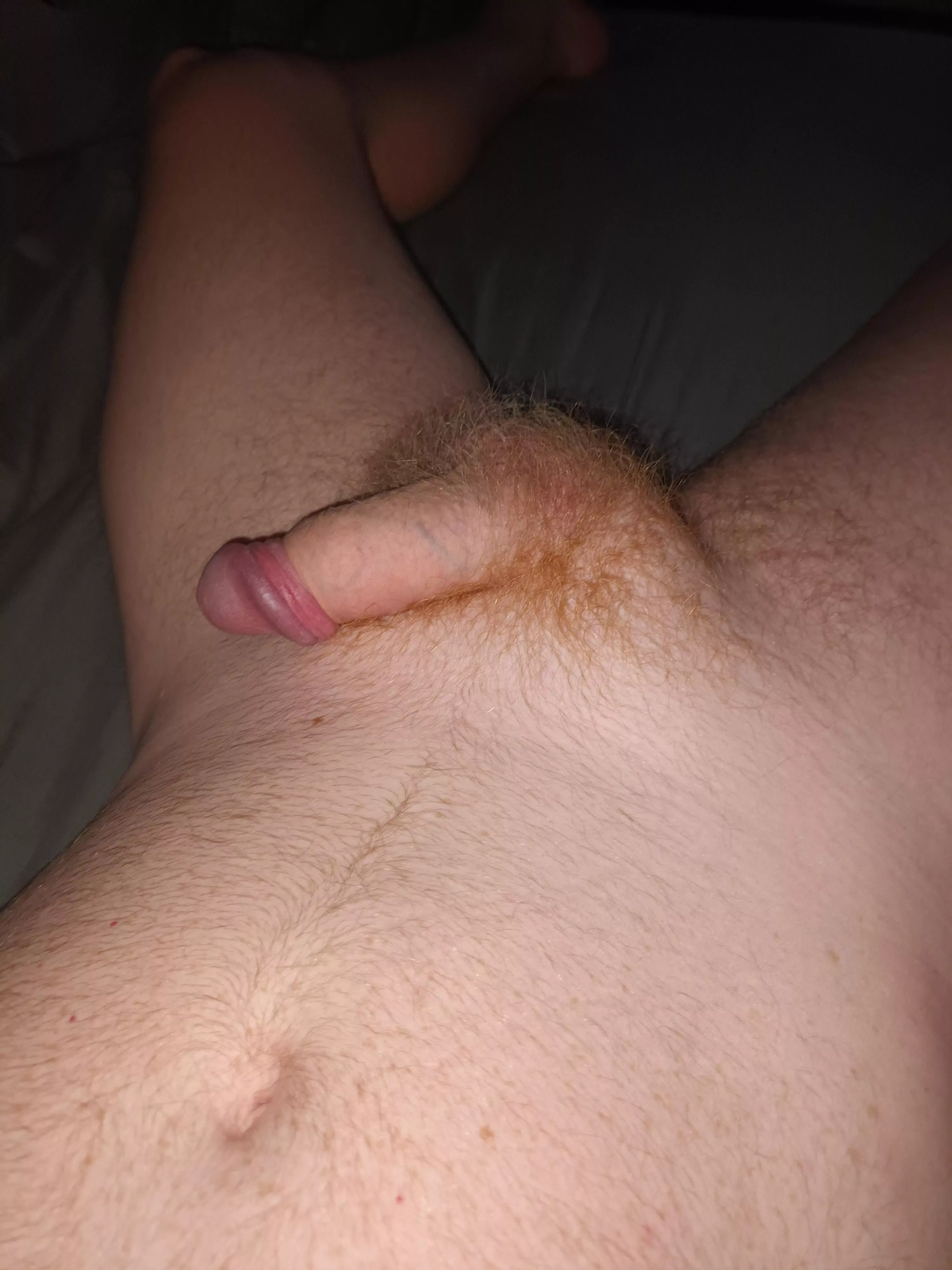 Who likes a ginger softy?