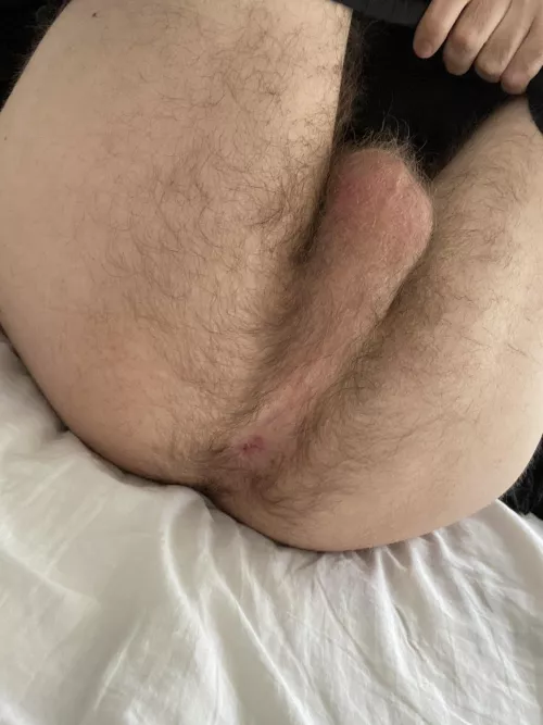 Who likes hairy holes?