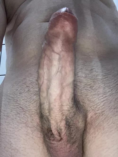 Would you swallow my cock?