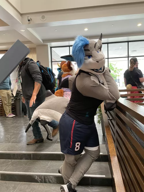 You've got the shark's attention