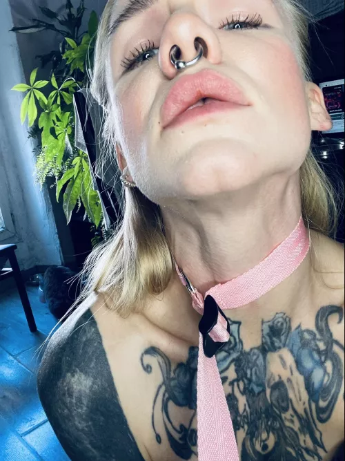 A tantalizing journey of pleasure