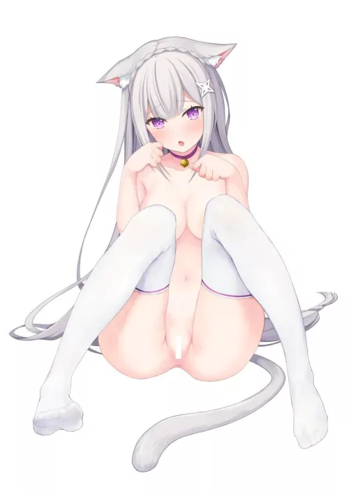 Cat Girl Emilia 🤍