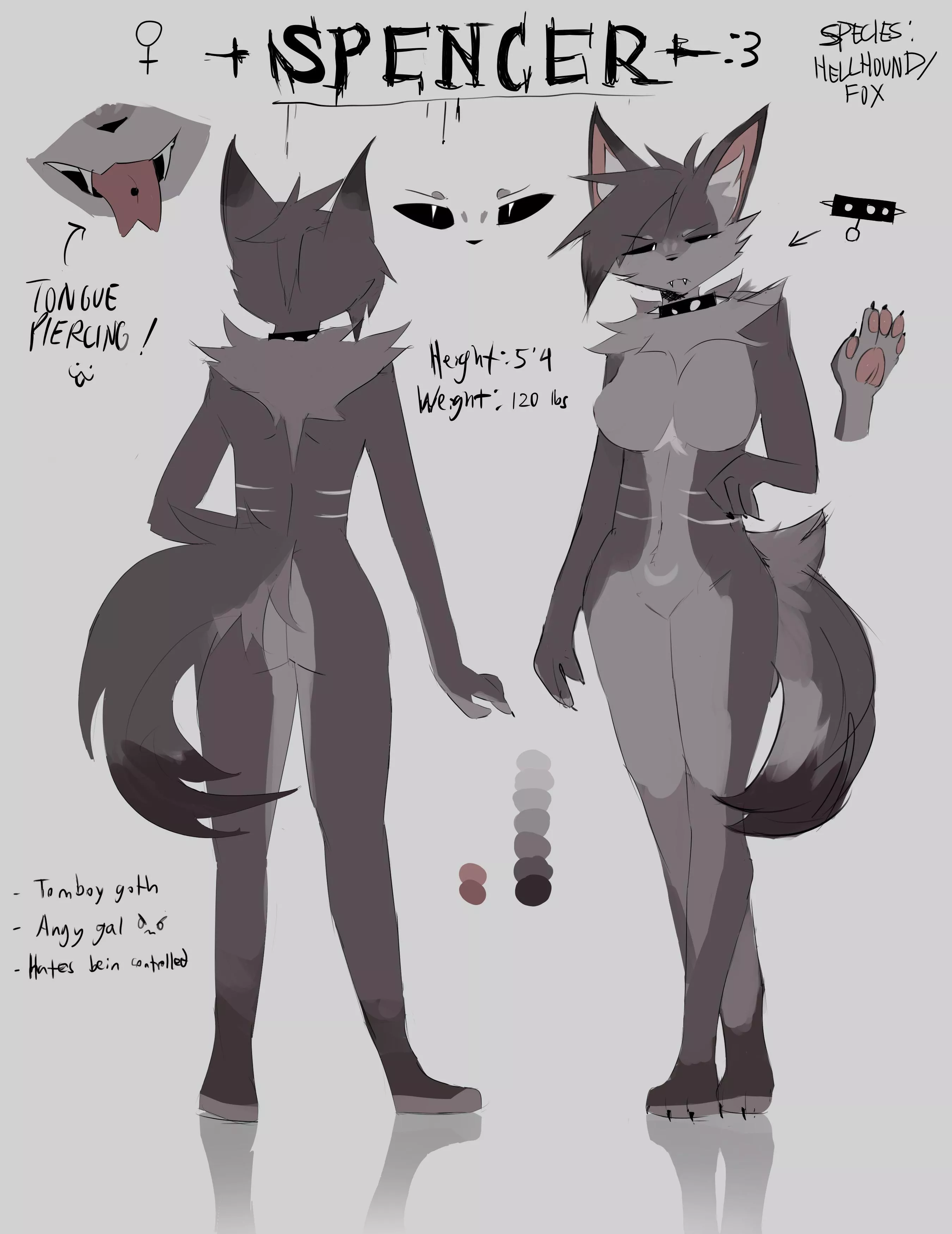 Finally made a ref sheet for my sona, Spencer!! :D