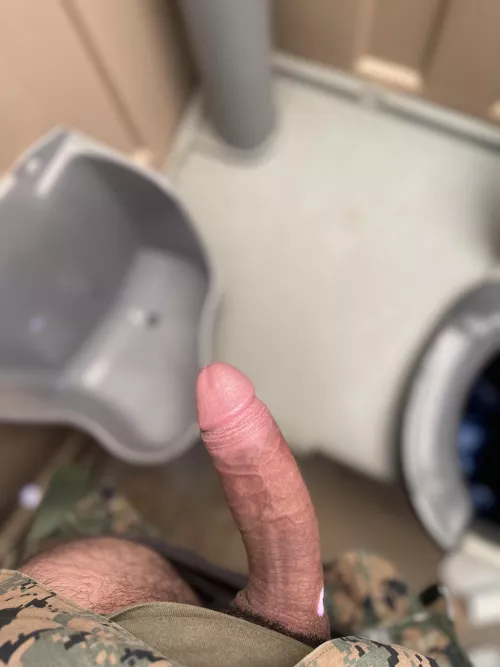 Thoughts on this marine cock?
