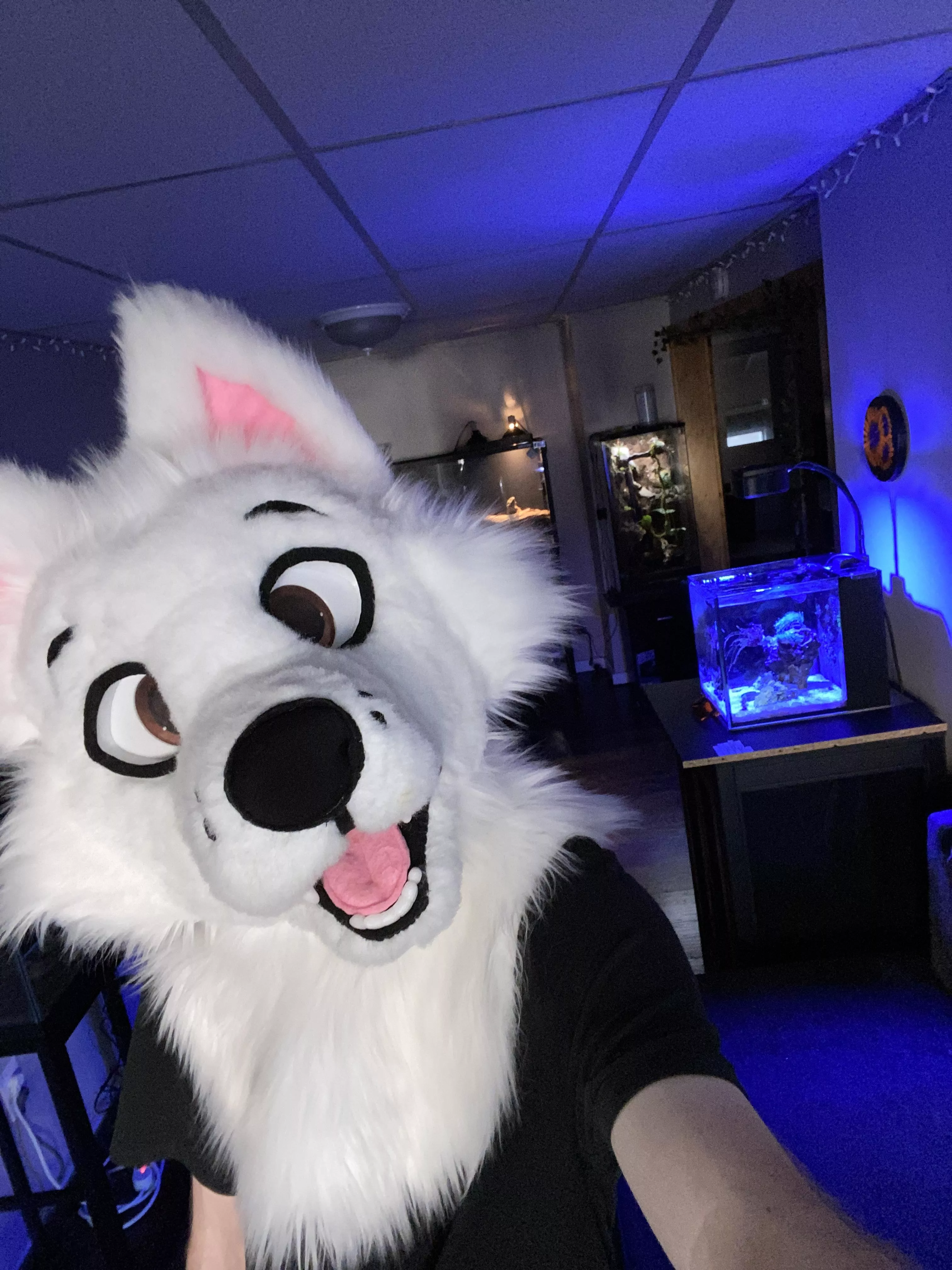 What are your other hobbies?!