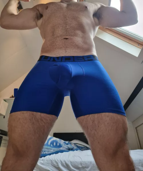 Which one do you wanna smell, my bulge or pits?