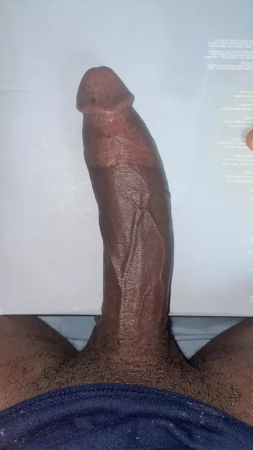 Who am I taking to pound town