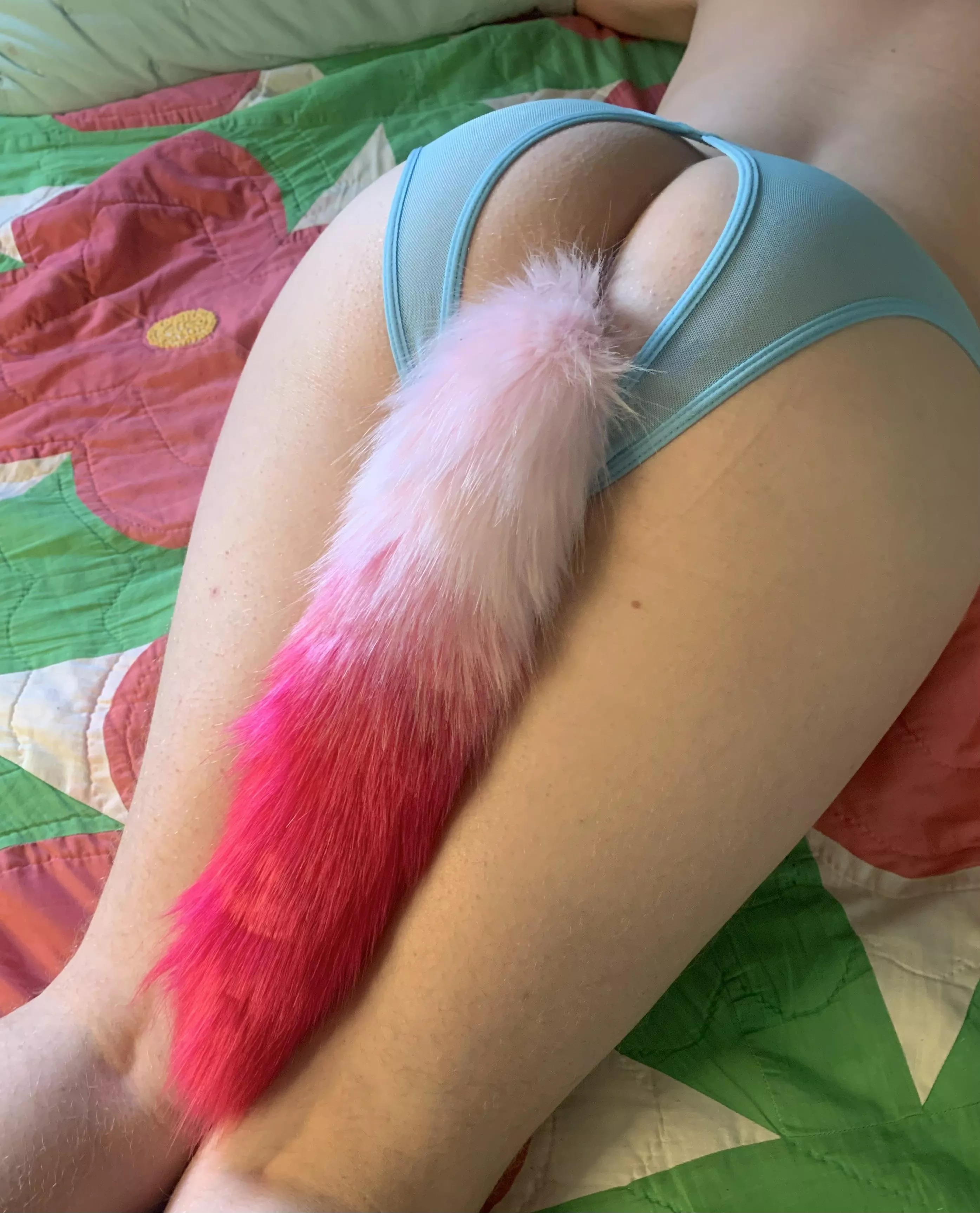 Would you replace my tail?😋💗